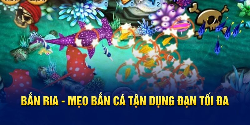 Bắn ria - Mẹo bắn cá tận dụng đạn tối đa